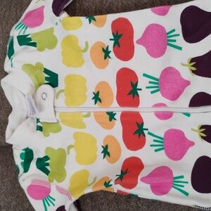 Hanna Andersson Multicolor Vegetable Print Kids One Piece